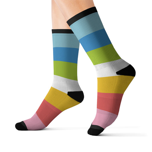 Queer Pride Socks
